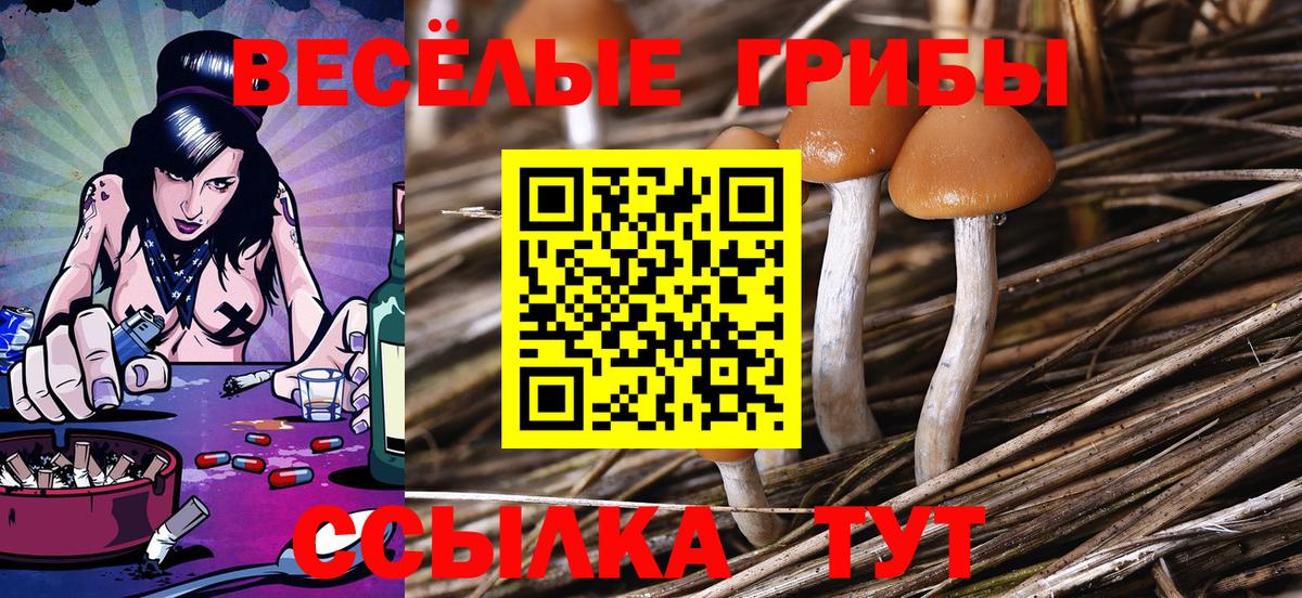 Галлюциногенные грибы мухоморы  Вход с VPN  Кохма 